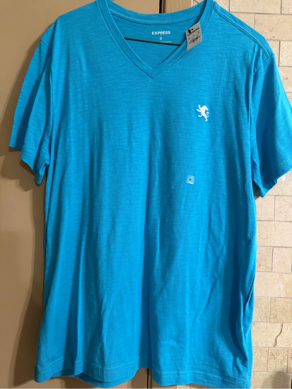 Express Men’s V-Neck Tee in Bright Turquoise